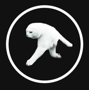 Meet your Posher, Jabjib technology